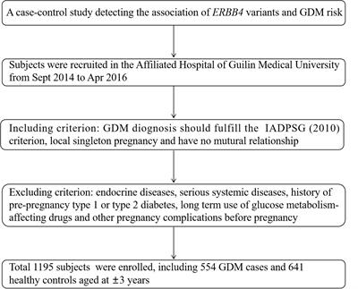 Genetic variants of ERBB4 gene and risk of gestational diabetes mellitus: a susceptibility and diagnostic nomogram study